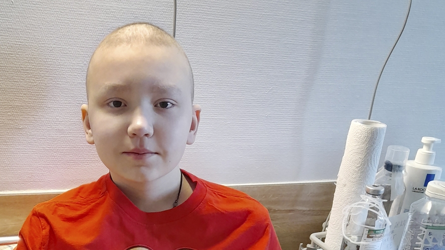 https://newcdn.worldvita.ru/static/img/17710/main-1524_thumb6_child_cat_big2.jpg