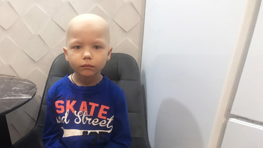 https://newcdn.worldvita.ru/static/img/20232/main-1936_thumb6_child_cat_big2.jpg