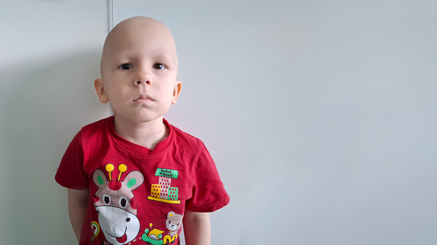 https://newcdn.worldvita.ru/static/img/24406/1600_900_thumb6_child_cat_big2.png